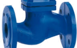 CHECK VALVES SUPPLIERS IN KOLKATA