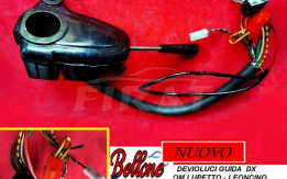 DEVIO LUCI OM LUPETTO LEONCINO TIGROTTO GUIDA DX