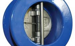 DUAL PLATE CHECK VALVES IN KOLKATA
