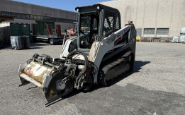 Minipala cingolata Takeuchi mod. TL140